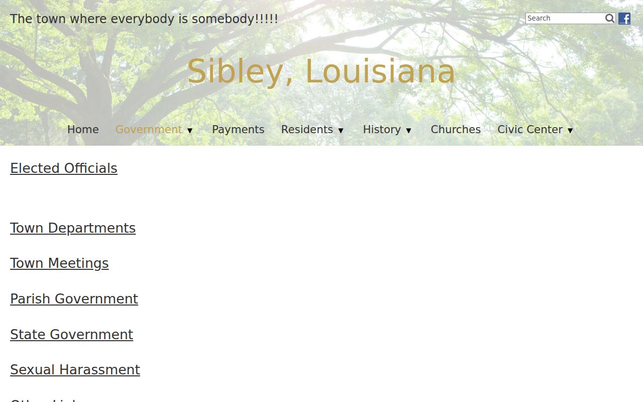 Sibley government navigation and meeting archives